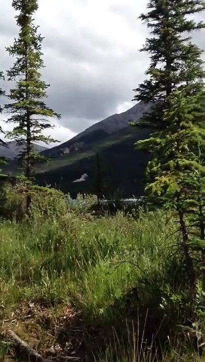 Saut d'un bateau par-dessus une digue de terre !
