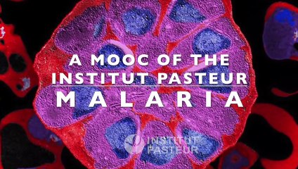 FUN-MOOC : Malaria
