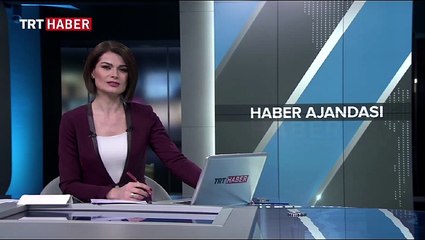 Filistinli cesur kız gözaltına alındı