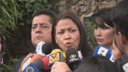 Dennis Fernández: opositores venezolanos en embajada chilena gozan de buena salud