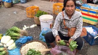 aos &_ Cambodia tours 2016 (HD)_