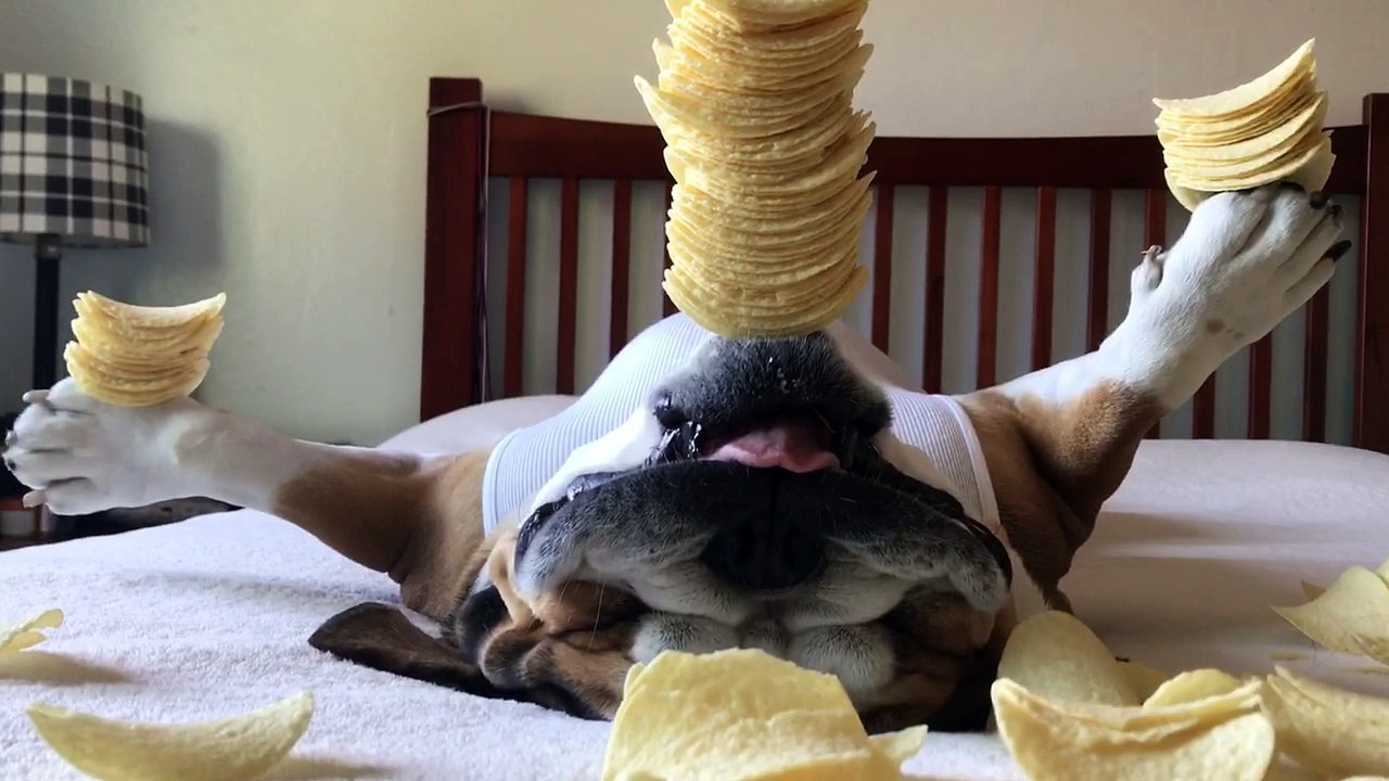 Balancing Pringles