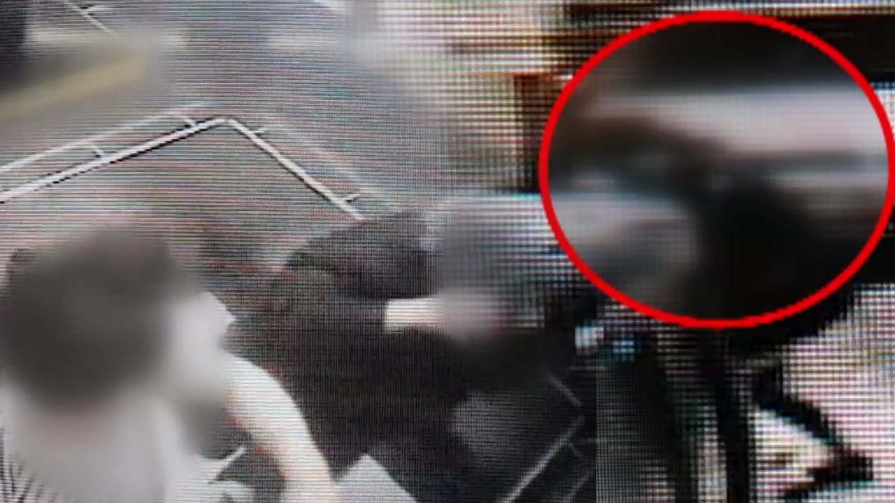 [단독] "남자 생겼냐"며 前 여자친구 무자비 폭행 / YTN