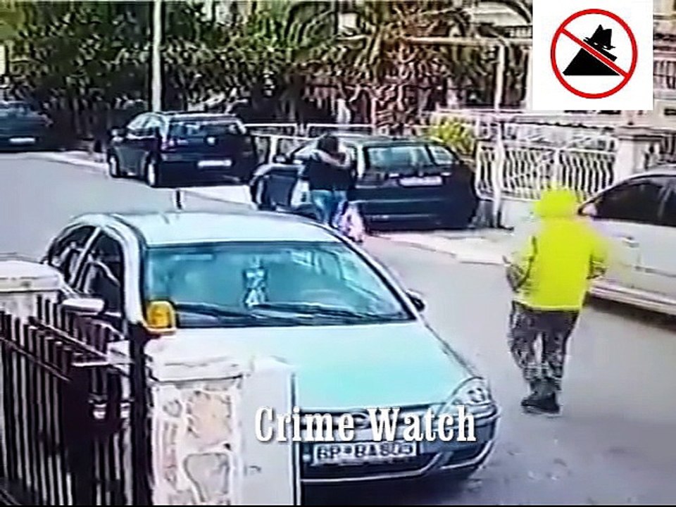 Watch Hero dog in action !