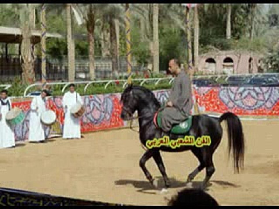الفنان الشعبي منصف السعيدي صالحي
