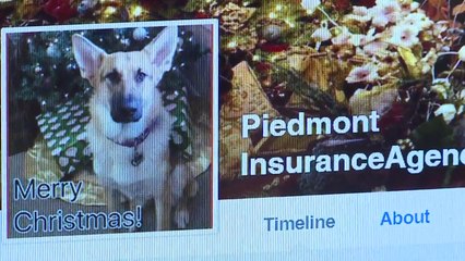 Man Searching for Dog Stolen From His North Carolina Home