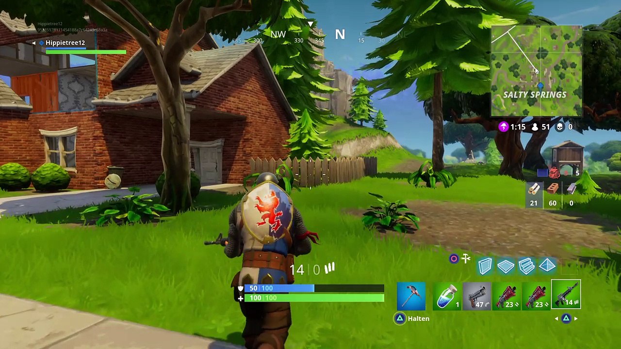 Fortnite 14 kills (win)