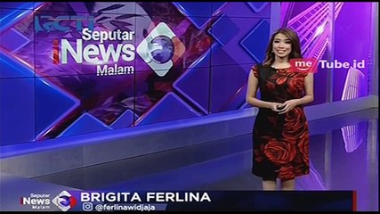 Bayi Giant Panda Dikenalkan ke Publik