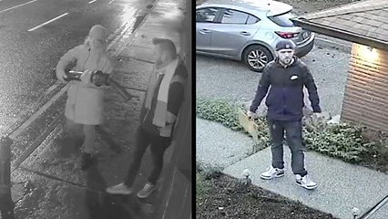 'This Is My Bollard Now' & Thief Forgot His Thief Mask