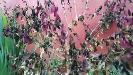 ¡Dios sigue actuando a pesar de todo! - PADRE ADOLFO GÜEMES LC