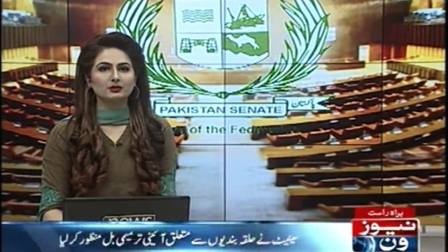 The Senate approved a constitutional amendment relating to the delimitation of constituencies