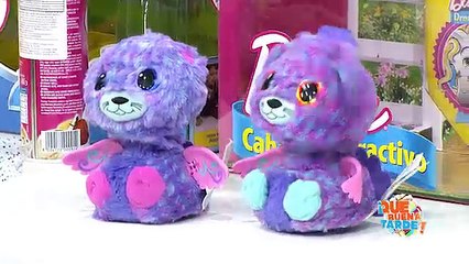 QBT 19 Diciembre 2017