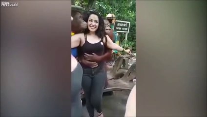 l'orang-outan sait où placer ses mains avec des femmes