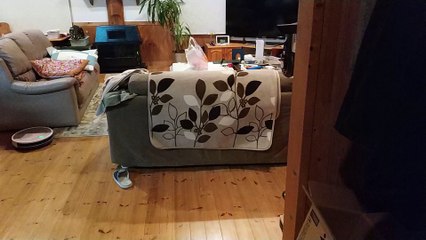 中華ダイソンを壁に取り付けてみた！【Dibea C17 , 中華ダイソン】