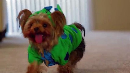 GAME OF THRONES - 2015 Best Parody Commercial