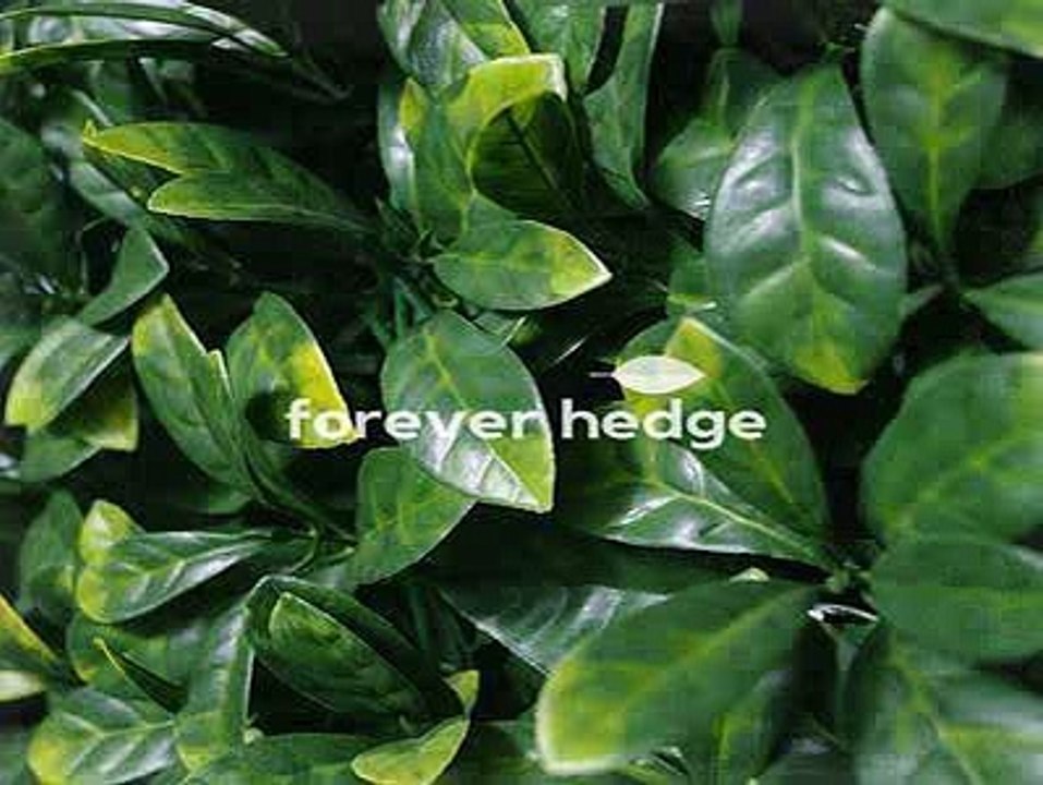 Artificial Vertical Garden Wall