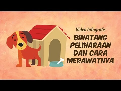 [INFOGRAFIS] Binatang Peliharaan dan Cara Merawatnya