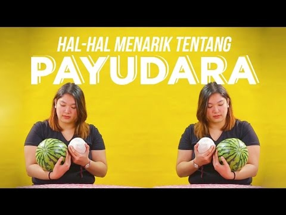 Hal-hal yang Menarik Tentang Payudara