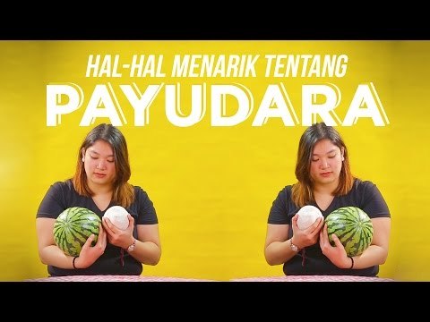 Hal-hal yang Menarik Tentang Payudara