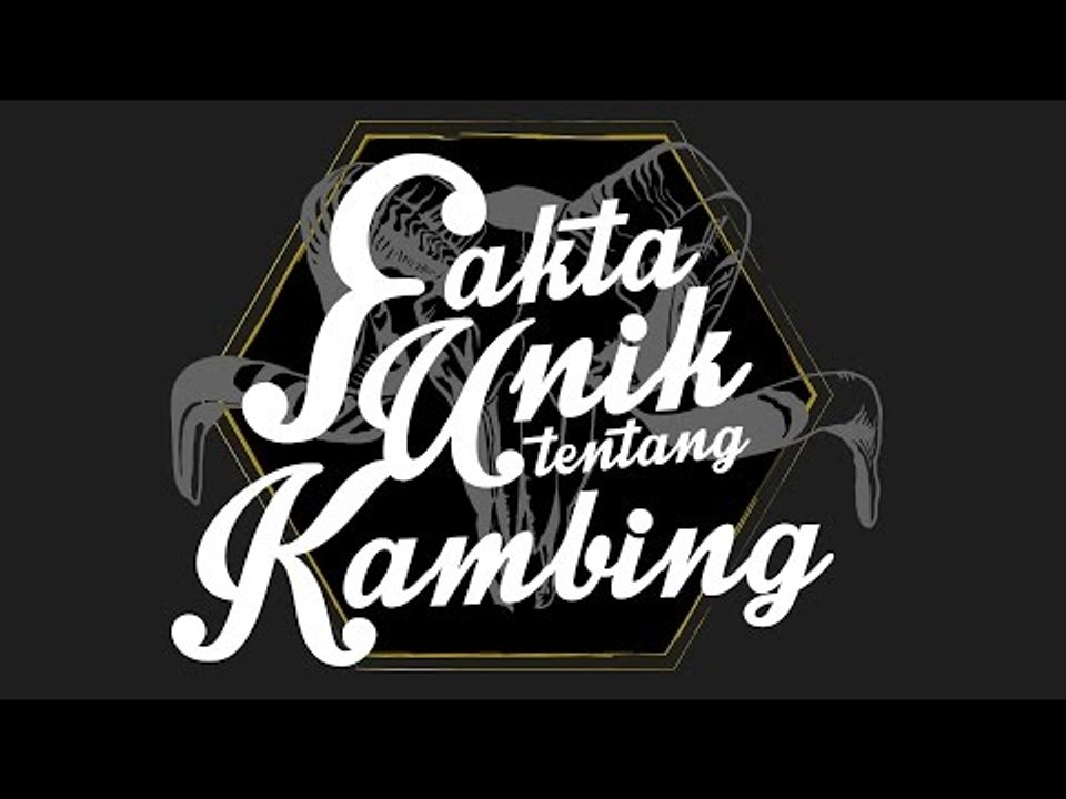 Fakta Unik Tentang Kambing