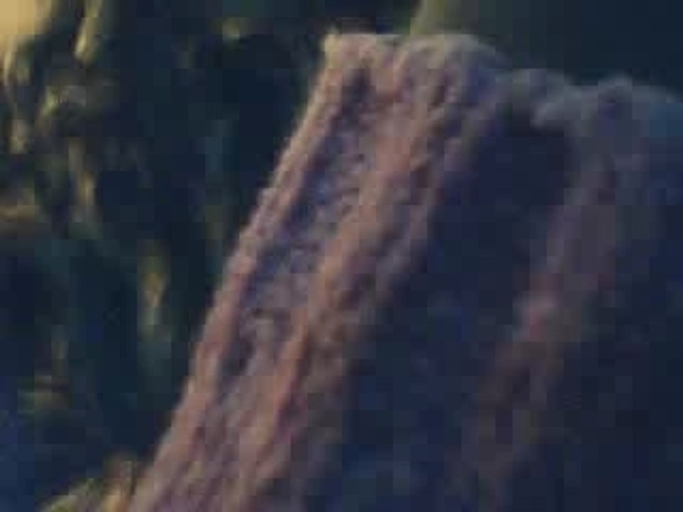 moi