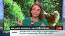 Dupin Quotidien : Bien choisir sa volaille pour les fêtes de Noël - 20/12