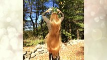 GIRLS WITH LONGEST HAIR EVER!-gCiAdEpiFsw