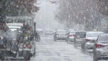 [날씨] 서울 등 수도권 눈...밤까지 최고 10cm 폭설 / YTN