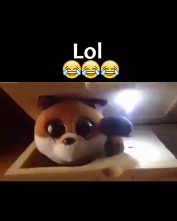 Ce jouet est juste ENORME... Je pourrais regarder ça des heures!