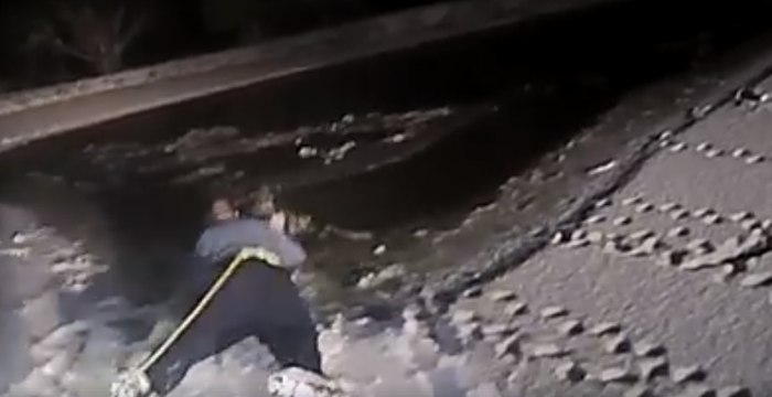 New Jersey Police Rescue Dog That Had Fallen Through Ice