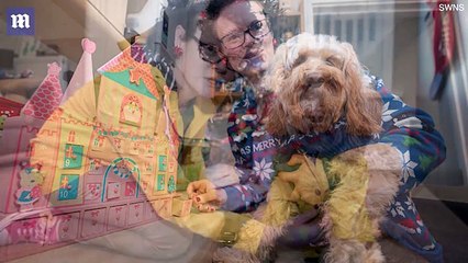 Cette maman dépense plus de 1000 dollars de cadeaux de Noël pour son chien