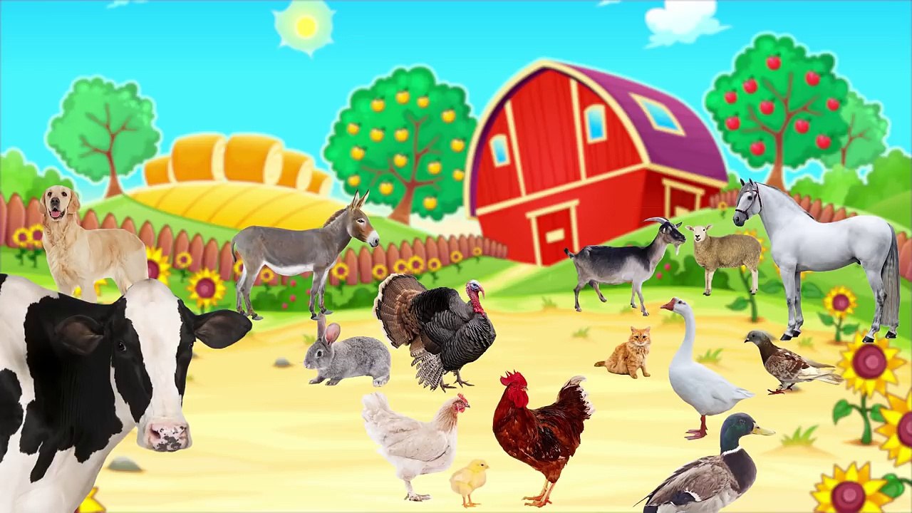 Çocuklar İçin Hayvanlar ve Hayvan Sesleri - Hayvanları Öğreniyoruz