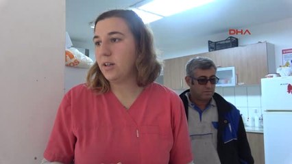 Muğla Bodrum Veterinerlerin Odası Karganın Evi Oldu