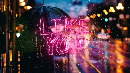 Trouze - Like You (feat. El Jova)