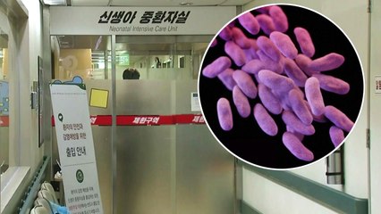 항생제 듣지 않는 슈퍼박테리아...사인 규명 단서될 가능성 있어 / YTN
