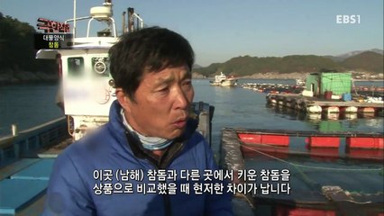 극한직업 - Extreme JOB_대물양식 철갑상어와 참돔_#001
