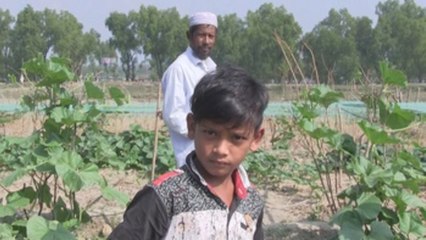 Las víctimas indirectas del éxodo de los rohinyás