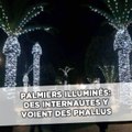 Pour des internautes des palmiers illuminés se transforment en phallus