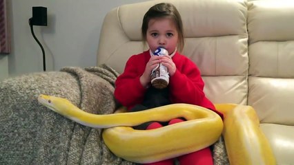 Cette gamine garde un serpent géant sur les genoux devant son film !!