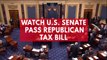 Watch US Senate pass Republican tax bill