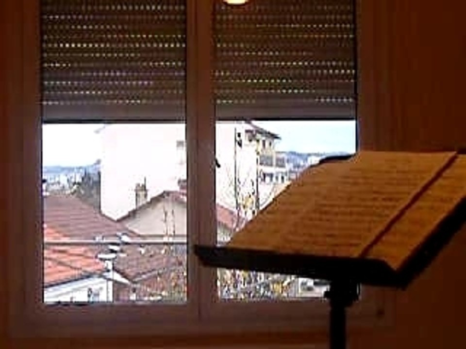 Schwedische Idylle W.Popp Op.471 n°1