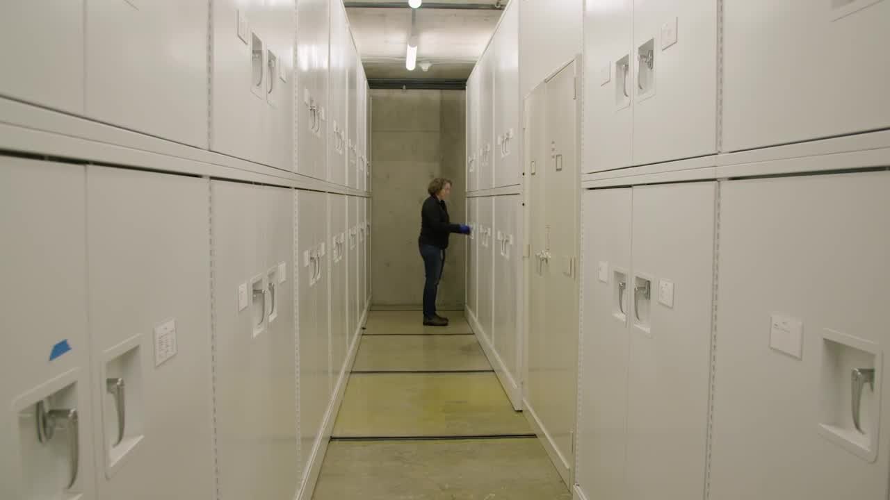 Inside the Room Housing 46 Million Museum Specimen