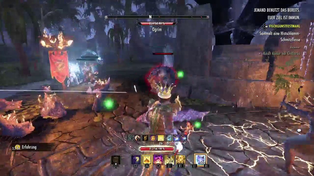 DonAleszandro The Elder Scrolls «-Feiertagsevent : Neujahrsfest mit dem Handelsheiler-» (529)