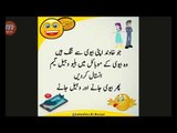 best collection of  husband wife jokes in hindi and urdu !Very Very Very Jokes~ Husband Wife Jokes