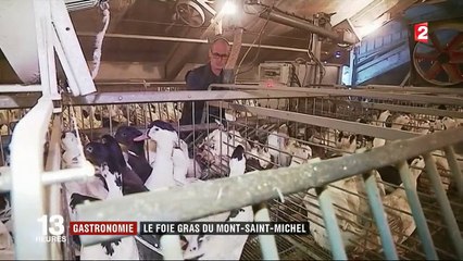 Gastronomie : le foie gras du Mont-Saint-Michel