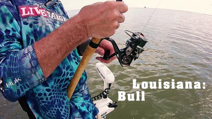 Insane Louisiana Redfish Fishing