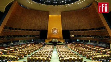 Meurtre des experts en RDC