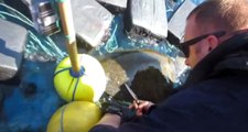 53 Milyon Dolarlık Kokain Deniz Kaplumbağalarının Sırtında Yakalandı