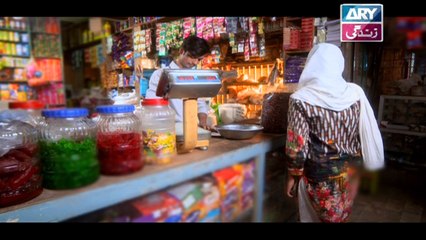 Haya Kay Rang Episode 206 In High Quality on Ary Zindagi 20th December 2017