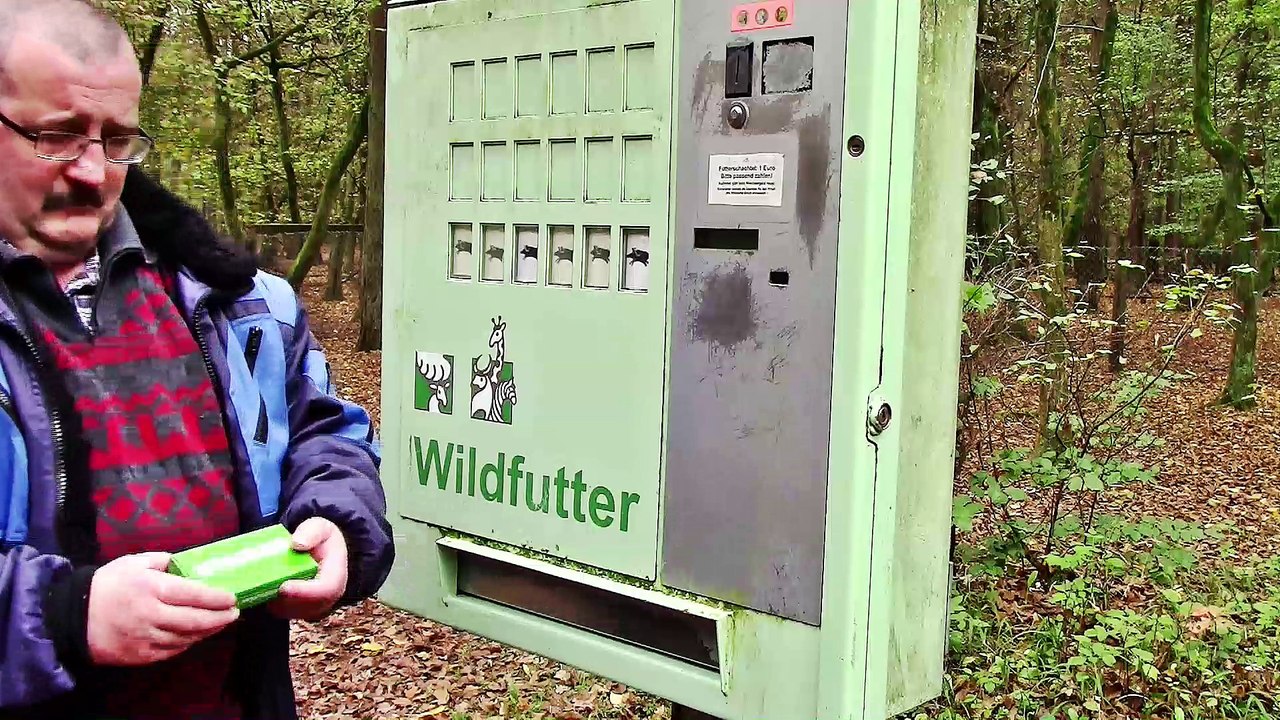 Schwarzkittel in Brück
